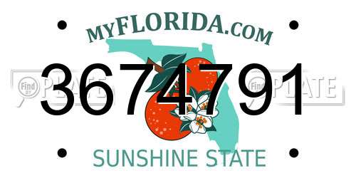3674791 Florida License Plate