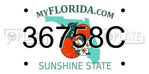 36758C Florida License Plate
