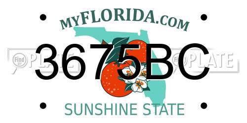 3675BC Florida License Plate