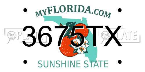 3675TX Florida License Plate
