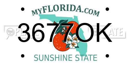 3677OK Florida License Plate