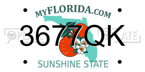 3677QK Florida License Plate