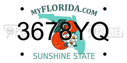 3678YQ Florida License Plate