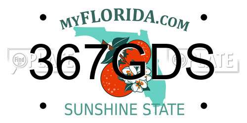 367GDS Florida License Plate
