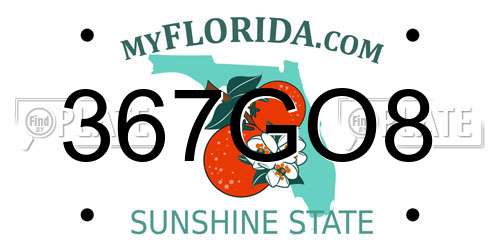 367GO8 Florida License Plate