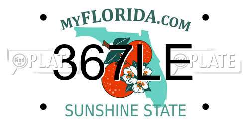 367LE Florida License Plate