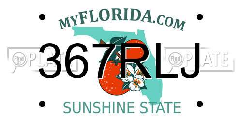 367RLJ Florida License Plate