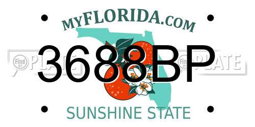 3688BP Florida License Plate