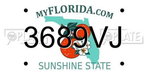 3689VJ Florida License Plate