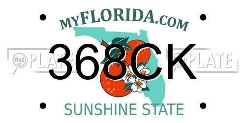 368CK Florida License Plate