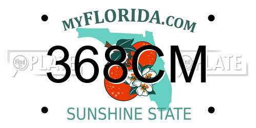 368CM Florida License Plate