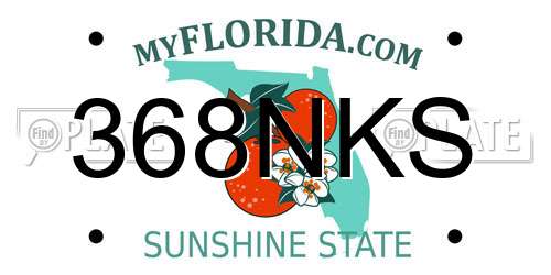 368NKS Florida License Plate