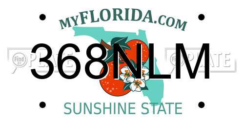368NLM Florida License Plate
