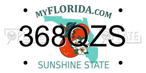 368QZS Florida License Plate