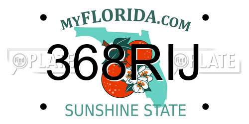 368RIJ Florida License Plate