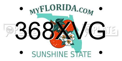 368XVG Florida License Plate