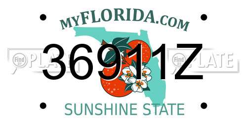 36911Z Florida License Plate