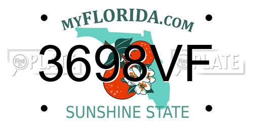 3698VF Florida License Plate