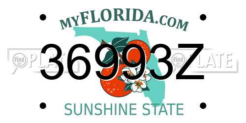 36993Z Florida License Plate