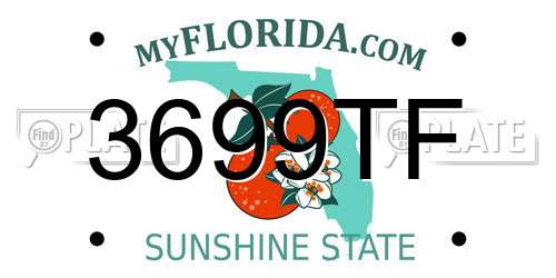 3699TF Florida License Plate
