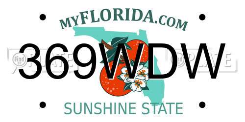 369WDW Florida License Plate