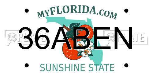 36ABEN Florida License Plate