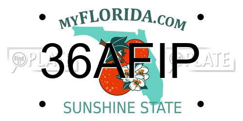 36AFIP Florida License Plate