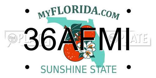 36AFMI Florida License Plate