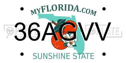 36AGVV Florida License Plate