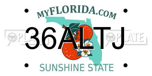 36ALTJ Florida License Plate