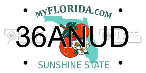 36ANUD Florida License Plate