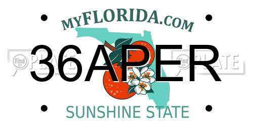 36APER Florida License Plate