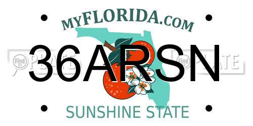 36ARSN Florida License Plate