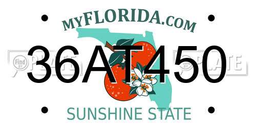 36AT450 Florida License Plate