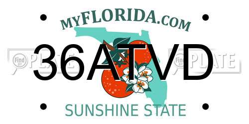 36ATVD Florida License Plate