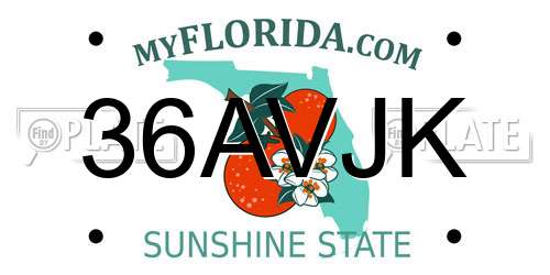 36AVJK Florida License Plate