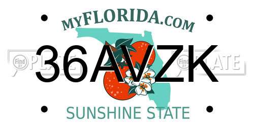 36AVZK Florida License Plate