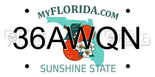 36AWQN Florida License Plate