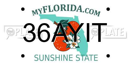 36AYIT Florida License Plate