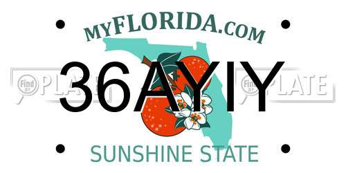 36AYIY Florida License Plate