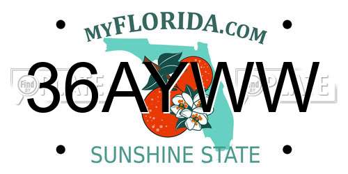 36AYWW Florida License Plate