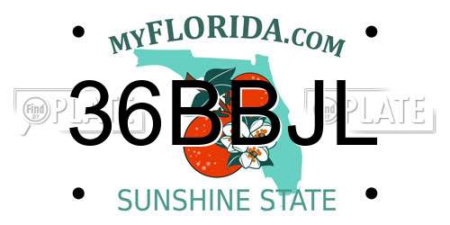 36BBJL Florida License Plate