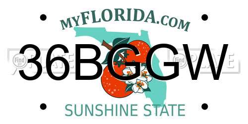36BGGW Florida License Plate