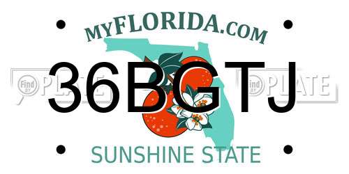 36BGTJ Florida License Plate