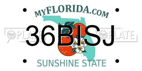 36BISJ Florida License Plate