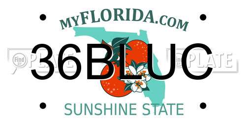 36BLUC Florida License Plate