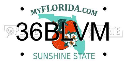 36BLVM Florida License Plate