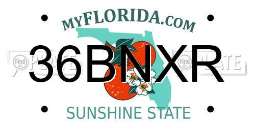 36BNXR Florida License Plate