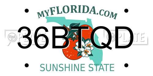 36BTQD Florida License Plate