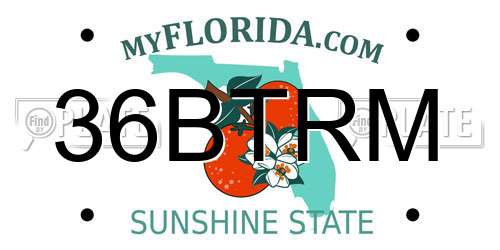 36BTRM Florida License Plate
